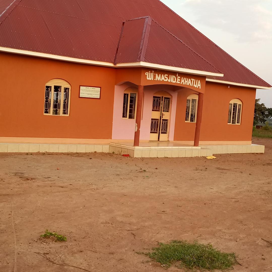 Completed Project 11